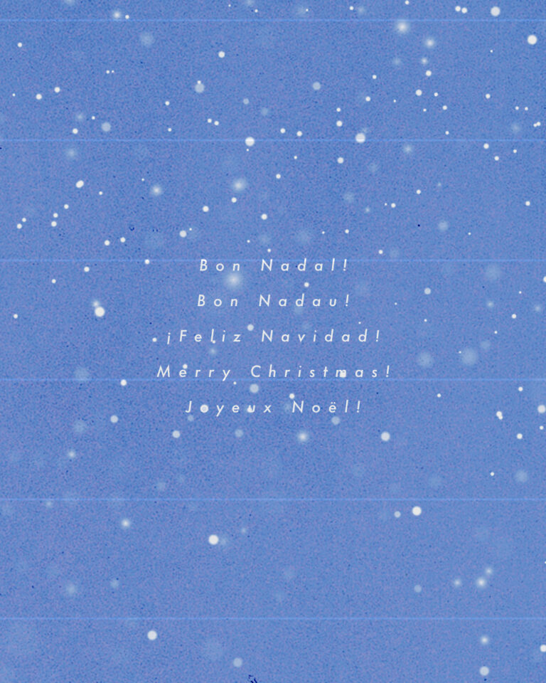 LLENGUA DE LES PUBLICACIONS (2)